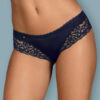Obsessive Drimera Deep Blue Panties With Lace