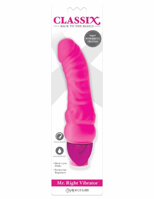 Classix Mr. Right Vibrating Dildo