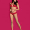 Obsessive Rougebelle Sensual Red Set