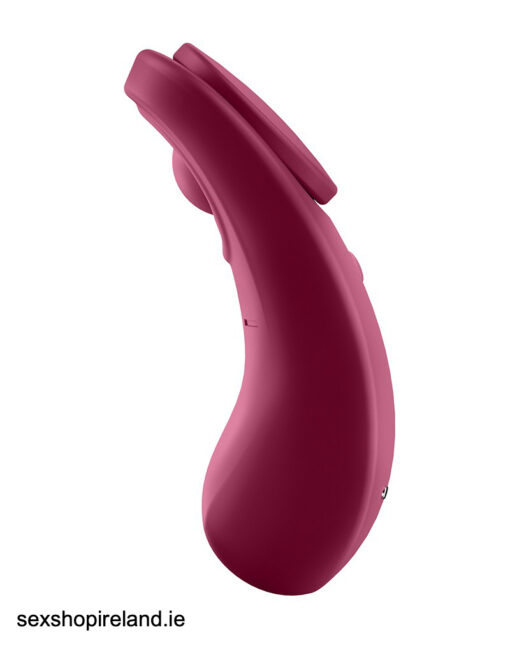 Satisfyer Sexy Secret Panty Vibrator