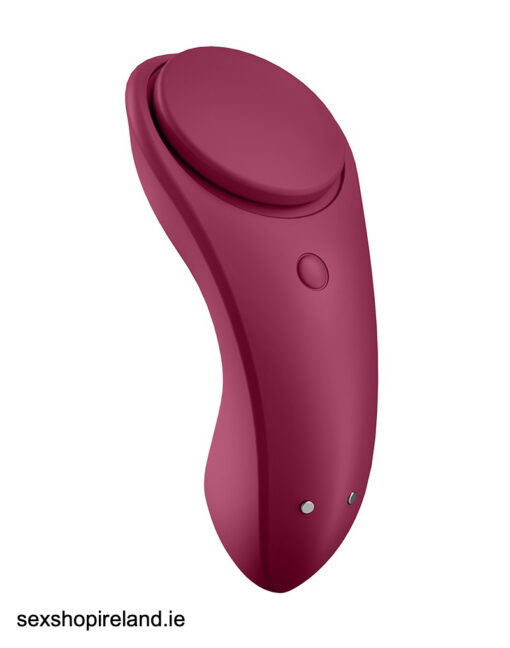 Satisfyer Sexy Secret Panty Vibrator