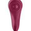 Satisfyer Sexy Secret Panty Vibrator