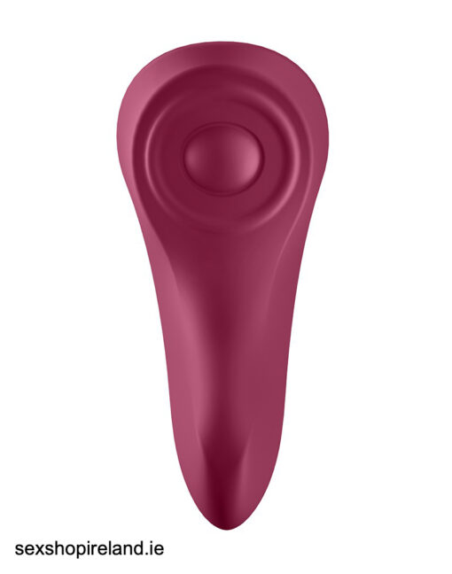 Satisfyer Sexy Secret Panty Vibrator